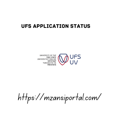 How to Check the WITS Application Status 2023/2024