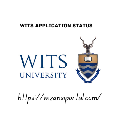 How to Check the WITS Application Status 2023/2024