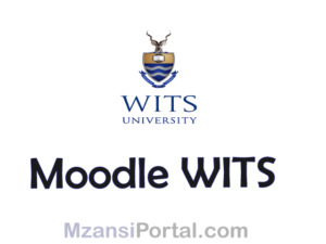Moodle WITS