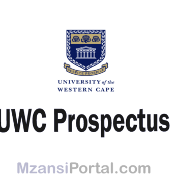 UWC Prospectus Faculty Of Community And Health Sciences Prospectus ...