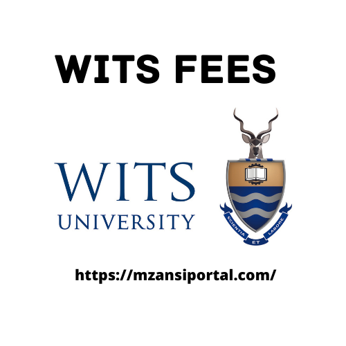 WITS Fees 2023 University of the Witwatersrand WITS Fee Structure